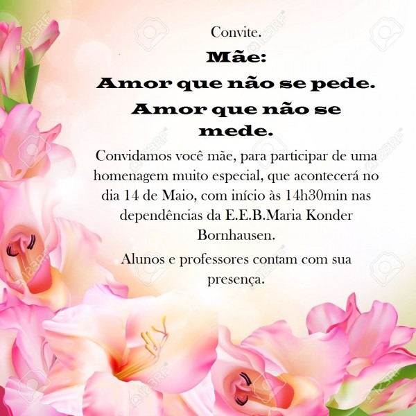 E e b  maria konder bornhausen  convite  homenagem do dia das mÃes