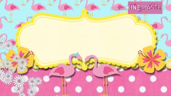 Convite animado flamingo rosa Convite animado flamingo rosa