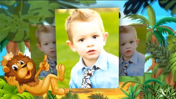 Projeto safari convite animado para proshow producer