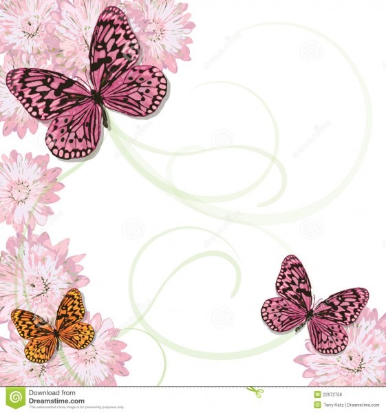 Quadro do convite da borboleta e da margarida ilustração do vetor Quadro do convite da borboleta e da margarida ilustração do vetor