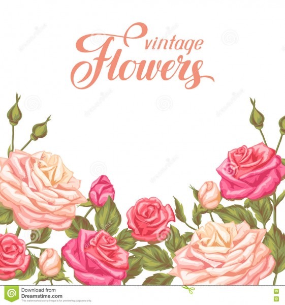 Cartão do convite com rosas do vintage flores retros decorativas Cartão do convite com rosas do vintage flores retros decorativas