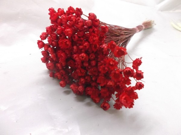 Flores secas desidratadas natural decoração arranjo convite Flores secas desidratadas natural decoração arranjo convite