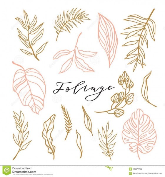 ColeÃ§Ã£o elegante da folha para o convite feminino Ã  moda do