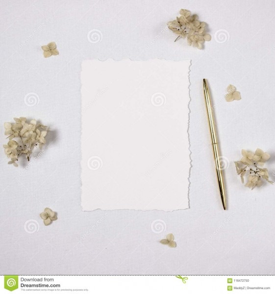 Modelo do convite do casamento, folha de papel com bordas torned