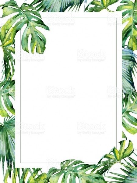 Watercolor illustration of tropical leaves, dense jungle  hand